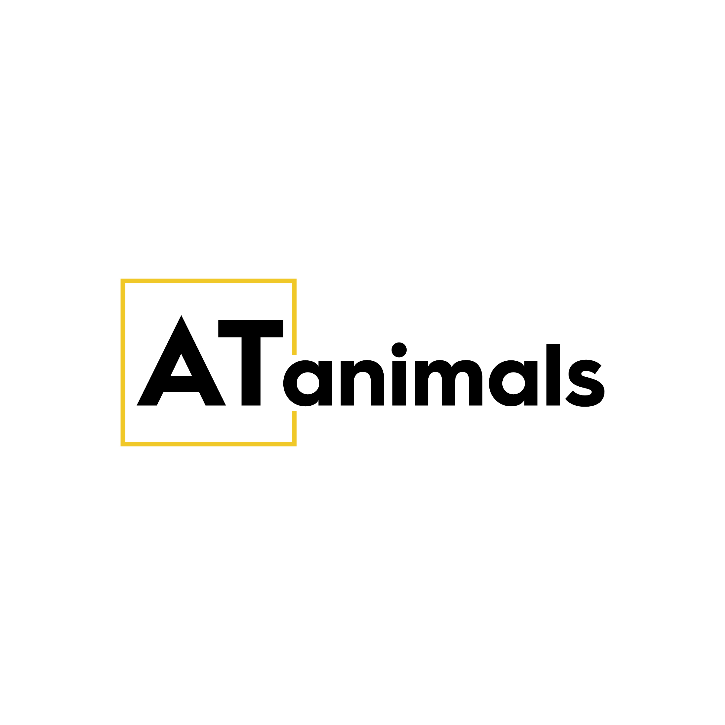 WEB-2025-PetExpo-1204